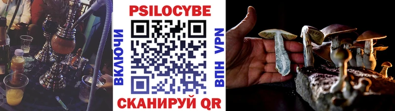 Псилоцибиновые грибы мухоморы  Западная Двина 